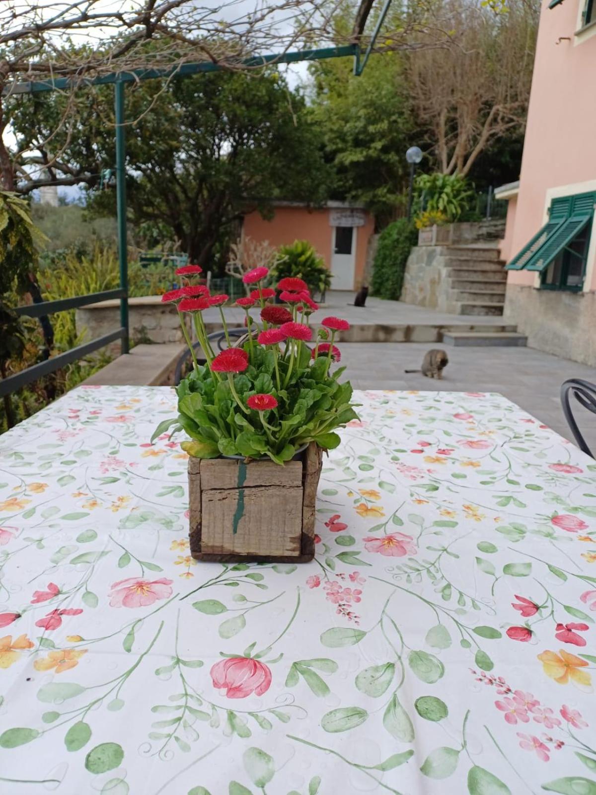 Ca Du Stea Villa Lavagna Eksteriør bilde